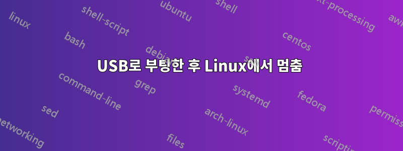 USB로 부팅한 후 Linux에서 멈춤