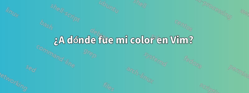 ¿A dónde fue mi color en Vim?