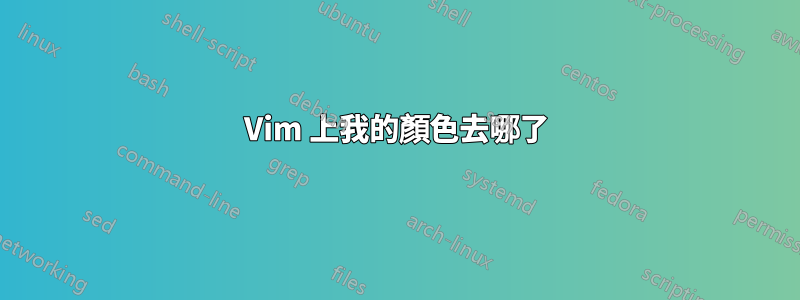 Vim 上我的顏色去哪了