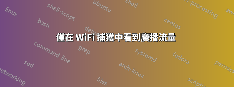 僅在 WiFi 捕獲中看到廣播流量