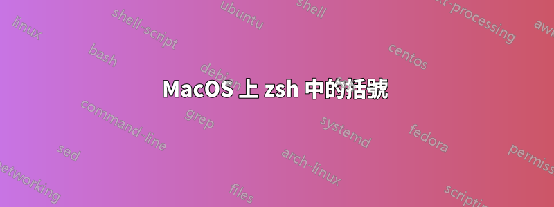 MacOS 上 zsh 中的括號