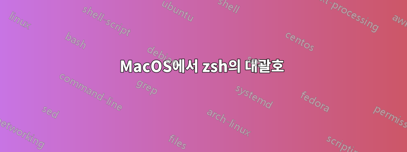 MacOS에서 zsh의 대괄호