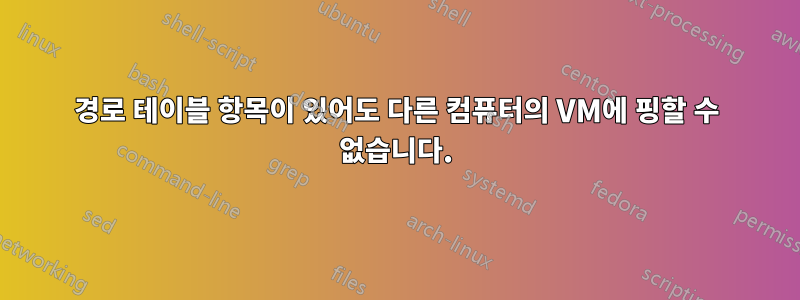 경로 테이블 항목이 있어도 다른 컴퓨터의 VM에 핑할 수 없습니다.