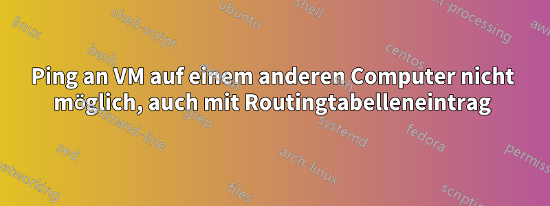 Ping an VM auf einem anderen Computer nicht möglich, auch mit Routingtabelleneintrag