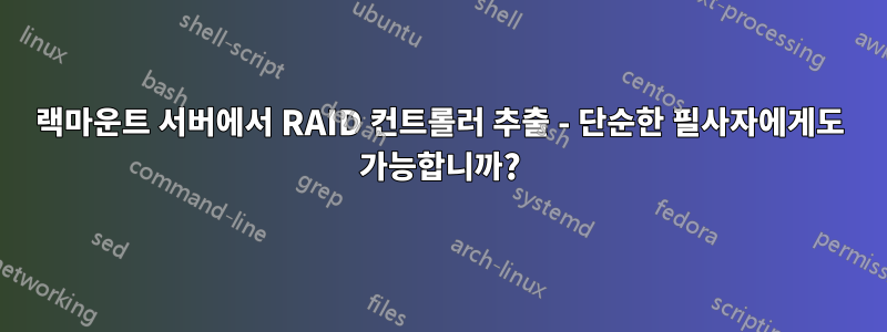 랙마운트 서버에서 RAID 컨트롤러 추출 - 단순한 필사자에게도 가능합니까?