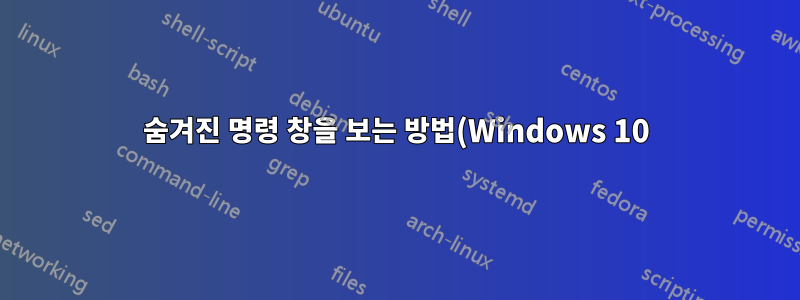 숨겨진 명령 창을 보는 방법(Windows 10)