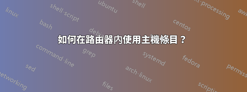 如何在路由器內使用主機條目？