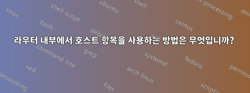 라우터 내부에서 호스트 항목을 사용하는 방법은 무엇입니까?