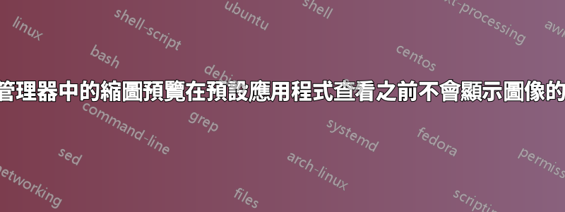 資源管理器中的縮圖預覽在預​​設應用程式查看之前不會顯示圖像的縮圖