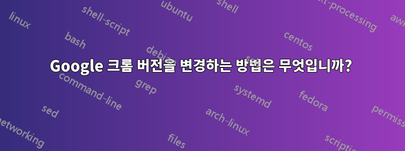 Google 크롬 버전을 변경하는 방법은 무엇입니까?
