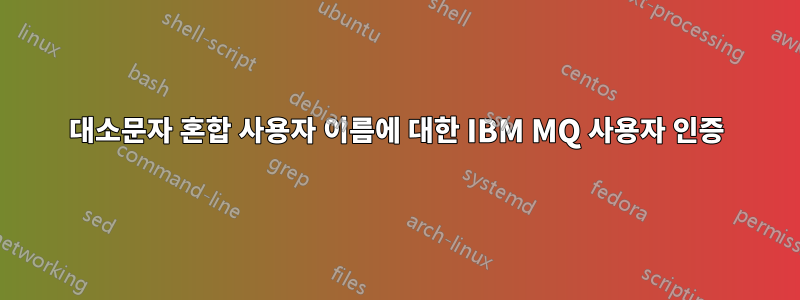 대소문자 혼합 사용자 이름에 대한 IBM MQ 사용자 인증