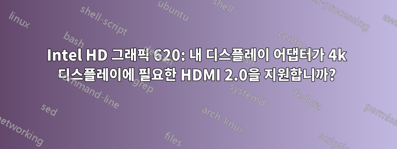 Intel HD 그래픽 620: 내 디스플레이 어댑터가 4k 디스플레이에 필요한 HDMI 2.0을 지원합니까?