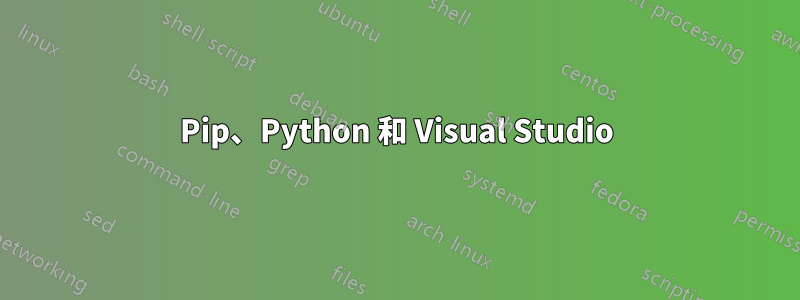 Pip、Python 和 Visual Studio