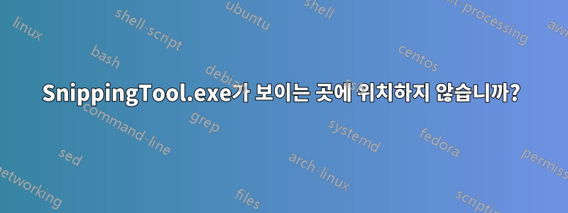 SnippingTool.exe가 보이는 곳에 위치하지 않습니까?