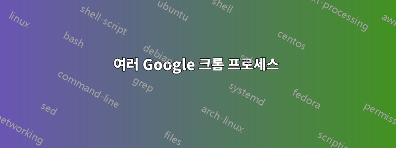 여러 Google 크롬 프로세스