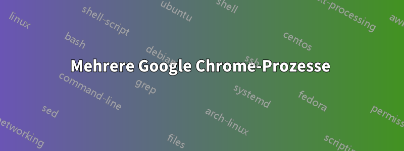 Mehrere Google Chrome-Prozesse