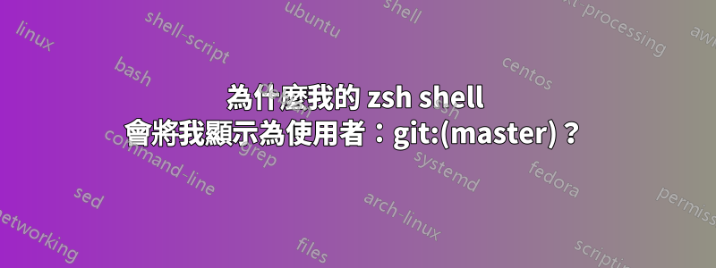 為什麼我的 zsh shell 會將我顯示為使用者：git:(master)？