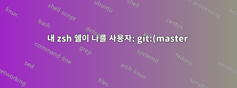 내 zsh 쉘이 나를 사용자: git:(master)로 표시하는 이유는 무엇입니까?