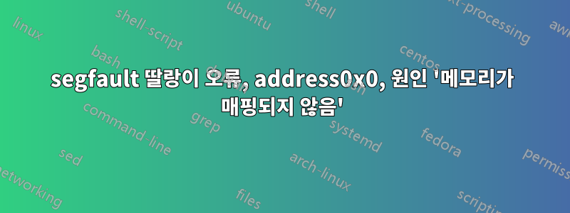 segfault 딸랑이 오류, address0x0, 원인 '메모리가 매핑되지 않음'
