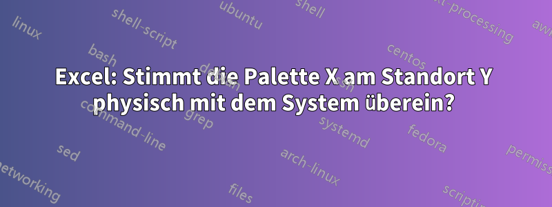 Excel: Stimmt die Palette X am Standort Y physisch mit dem System überein?