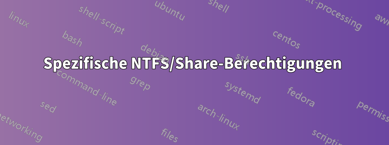 Spezifische NTFS/Share-Berechtigungen