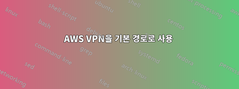 AWS VPN을 기본 경로로 사용