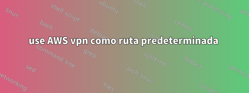use AWS vpn como ruta predeterminada