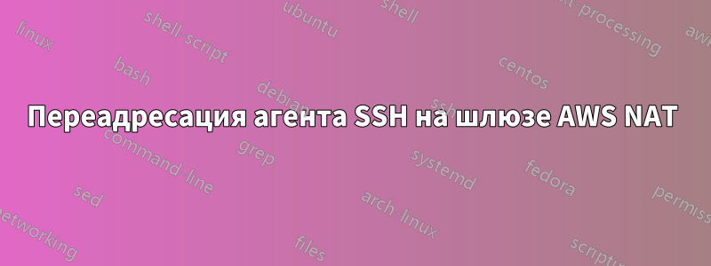 Переадресация агента SSH на шлюзе AWS NAT
