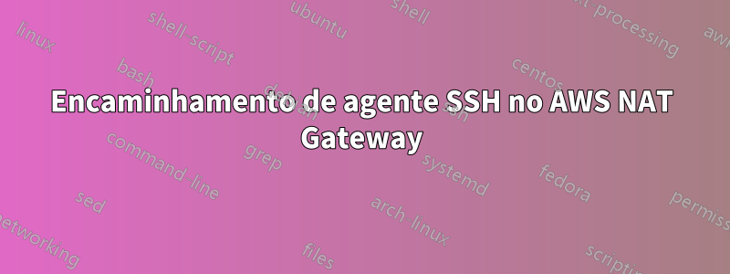 Encaminhamento de agente SSH no AWS NAT Gateway