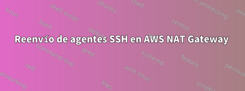 Reenvío de agentes SSH en AWS NAT Gateway