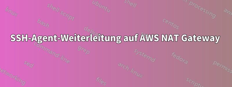 SSH-Agent-Weiterleitung auf AWS NAT Gateway