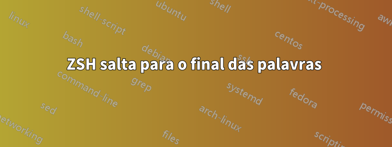 ZSH salta para o final das palavras