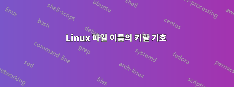 Linux 파일 이름의 키릴 기호