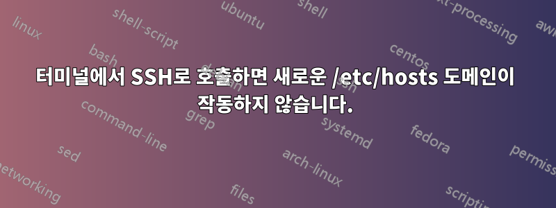 터미널에서 SSH로 호출하면 새로운 /etc/hosts 도메인이 작동하지 않습니다.