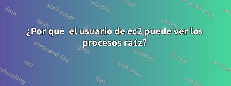 ¿Por qué el usuario de ec2 puede ver los procesos raíz?