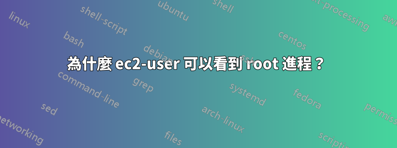 為什麼 ec2-user 可以看到 root 進程？