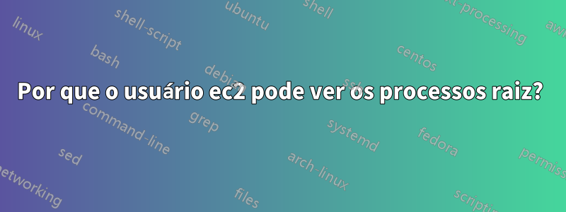 Por que o usuário ec2 pode ver os processos raiz?