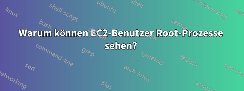 Warum können EC2-Benutzer Root-Prozesse sehen?