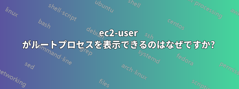 ec2-user がルートプロセスを表示できるのはなぜですか?