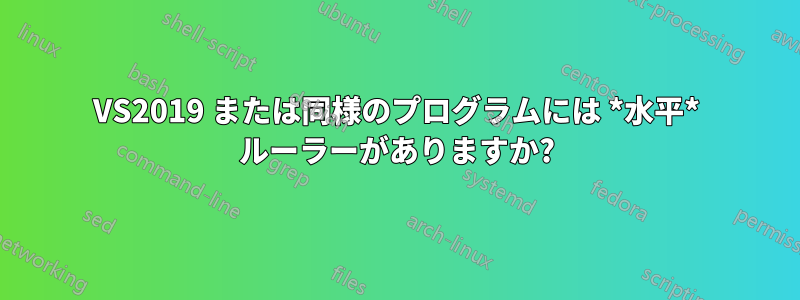 VS2019 または同様のプログラムには *水平* ルーラーがありますか?