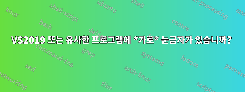 VS2019 또는 유사한 프로그램에 *가로* 눈금자가 있습니까?