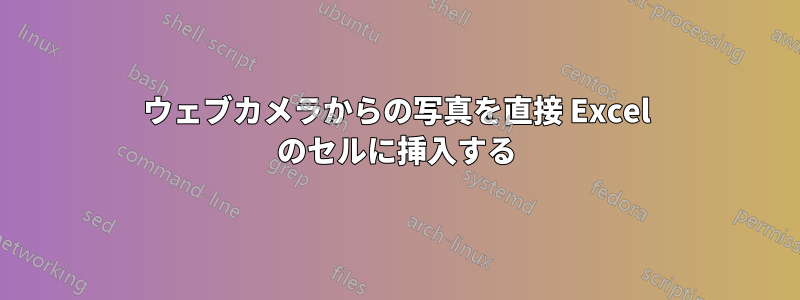 ウェブカメラからの写真を直接 Excel のセルに挿入する