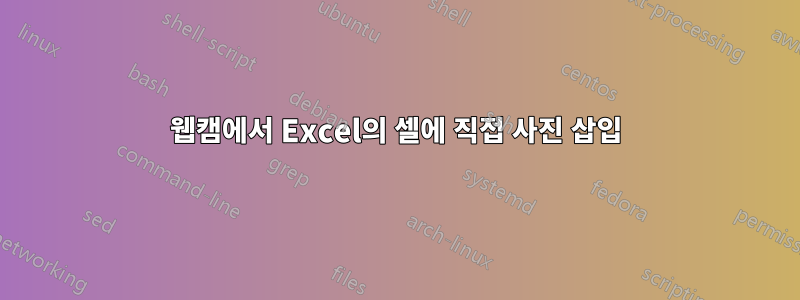 웹캠에서 Excel의 셀에 직접 사진 삽입