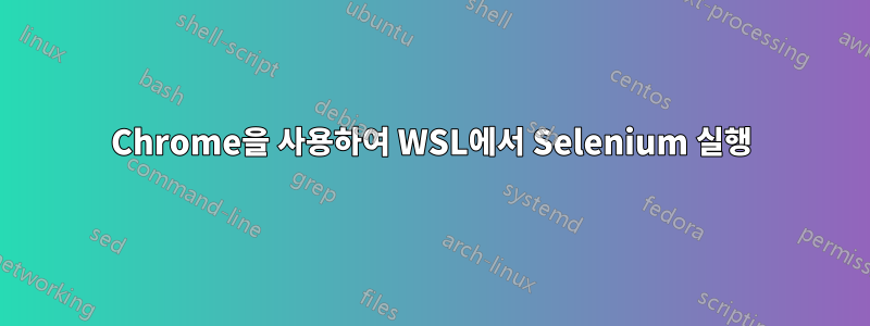 Chrome을 사용하여 WSL에서 Selenium 실행