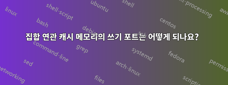 집합 연관 캐시 메모리의 쓰기 포트는 어떻게 되나요? 