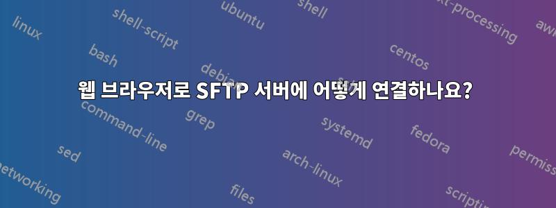 웹 브라우저로 SFTP 서버에 어떻게 연결하나요?
