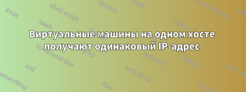 Виртуальные машины на одном хосте получают одинаковый IP-адрес