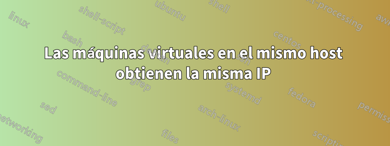 Las máquinas virtuales en el mismo host obtienen la misma IP