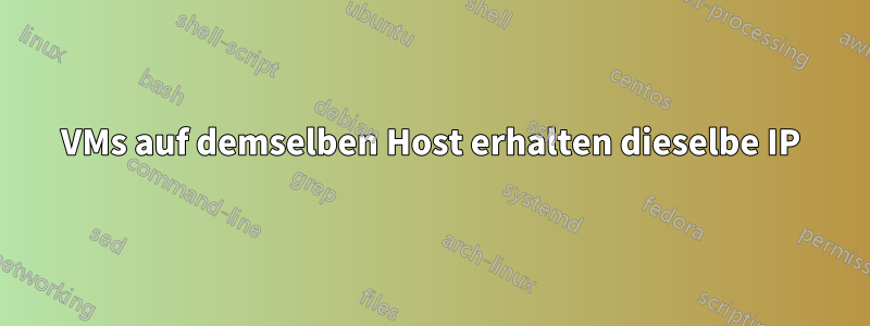 VMs auf demselben Host erhalten dieselbe IP