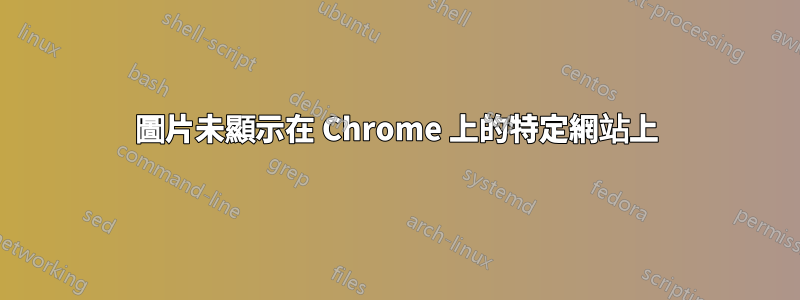 圖片未顯示在 Chrome 上的特定網站上